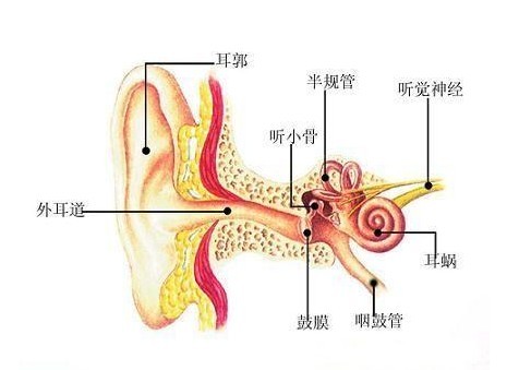 胆脂瘤外耳道炎是怎么回事？