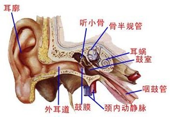 经常用电脑小心耳鸣!