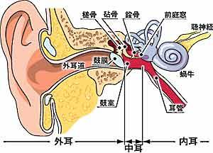 急性外耳道炎的症状有哪些？