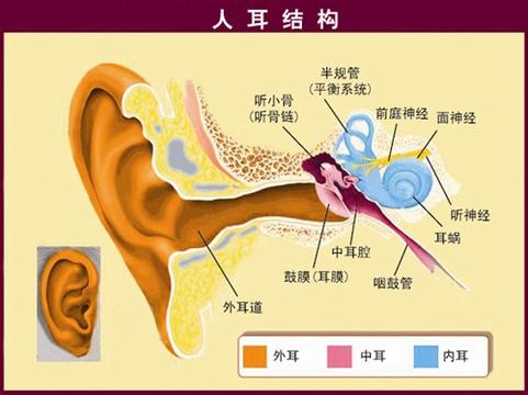 如何判断自己是否患上急性外耳道炎？