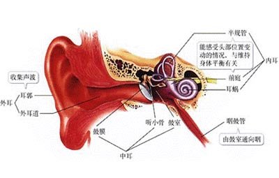 外耳道炎，您了解吗？