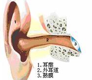 外耳道损伤怎么引起的？严重吗？怎么办？